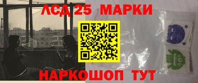 стаф Берёзовский