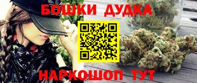 прущие грибы Бийск