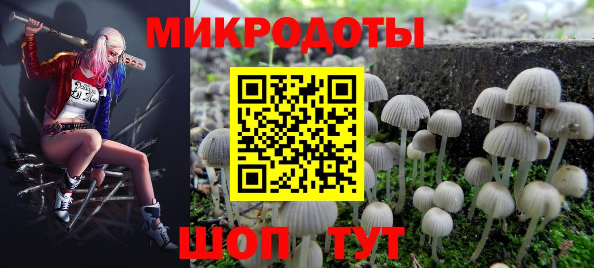 Галлюциногенные грибы мухоморы  Галлюциногенные грибы Psilocybe  Вход с VPN  Киселёвск 